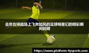 德甲生死局：沃尔夫斯堡VS海登海姆——保级与反弹的终极对决